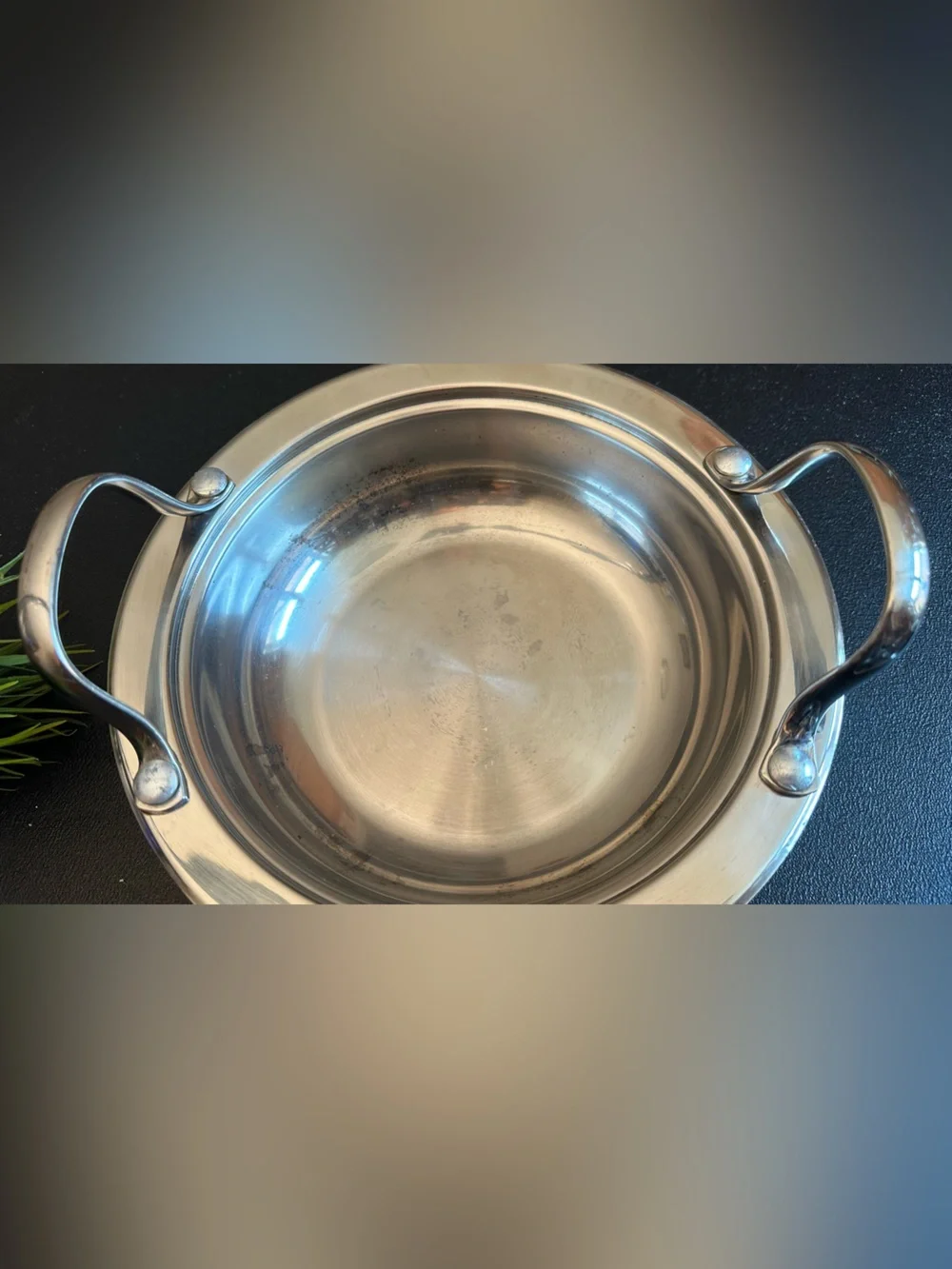 Wolfgang Puck Stainless Steel 8